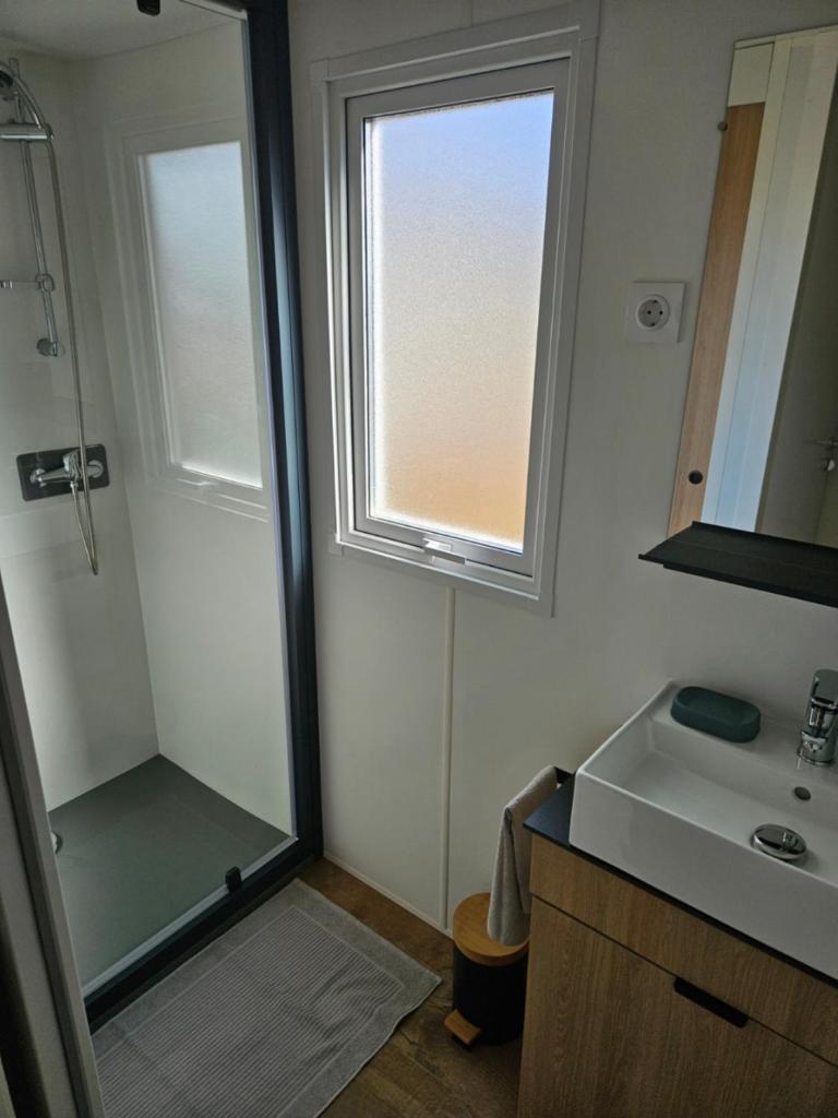 une salle de bain avec une douche et un lavabo et une fenêtre dans l'établissement Les bords du Rhône, à Condrieu