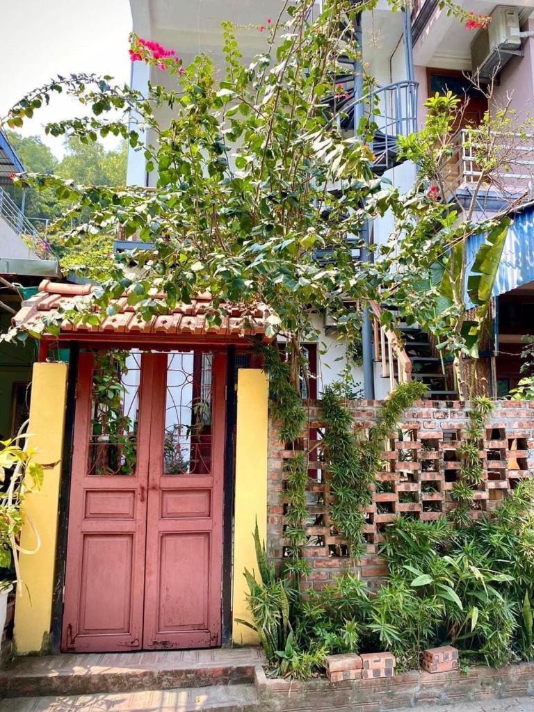Chez Phuong- Studios Cat Ba