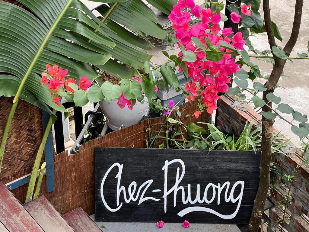 Chez Phuong- Studios Cat Ba