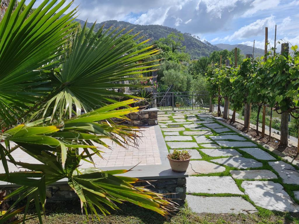 La casa di Sassolino 6