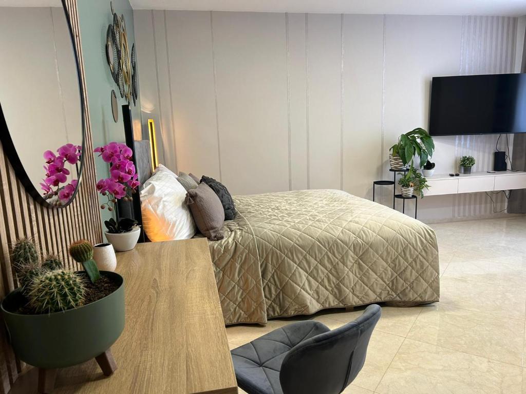LEO Apartment FREE PARKING - President Palace 5