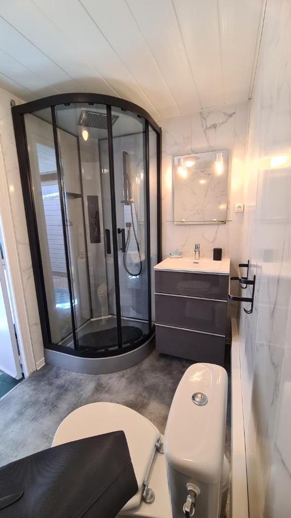 une salle de bain avec une douche, des toilettes et un lavabo dans l'établissement Au Petit Paradis, à Saint-Raphaël