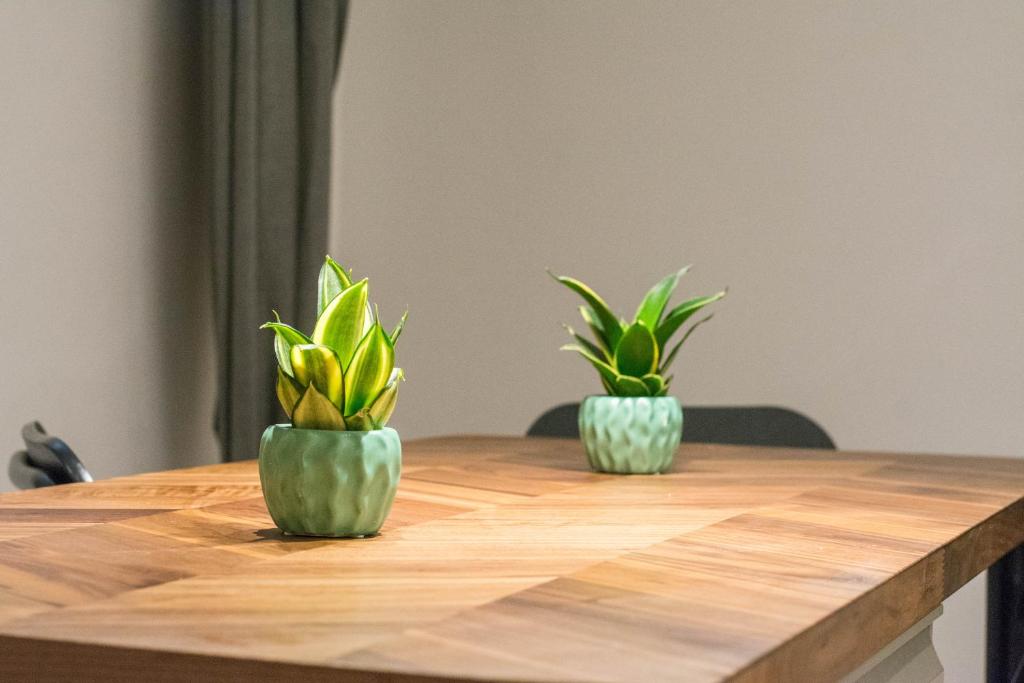 Rooms without kitchen and Studio Apartment ROMIRU 5