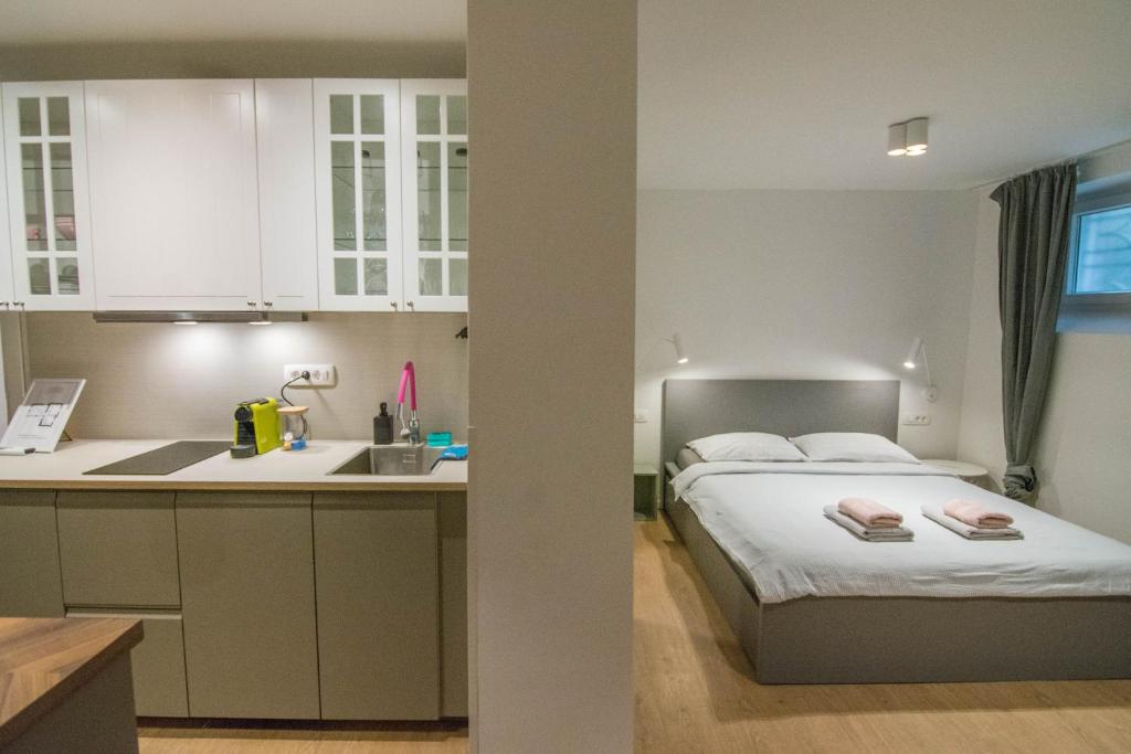 Rooms without kitchen and Studio Apartment ROMIRU 8