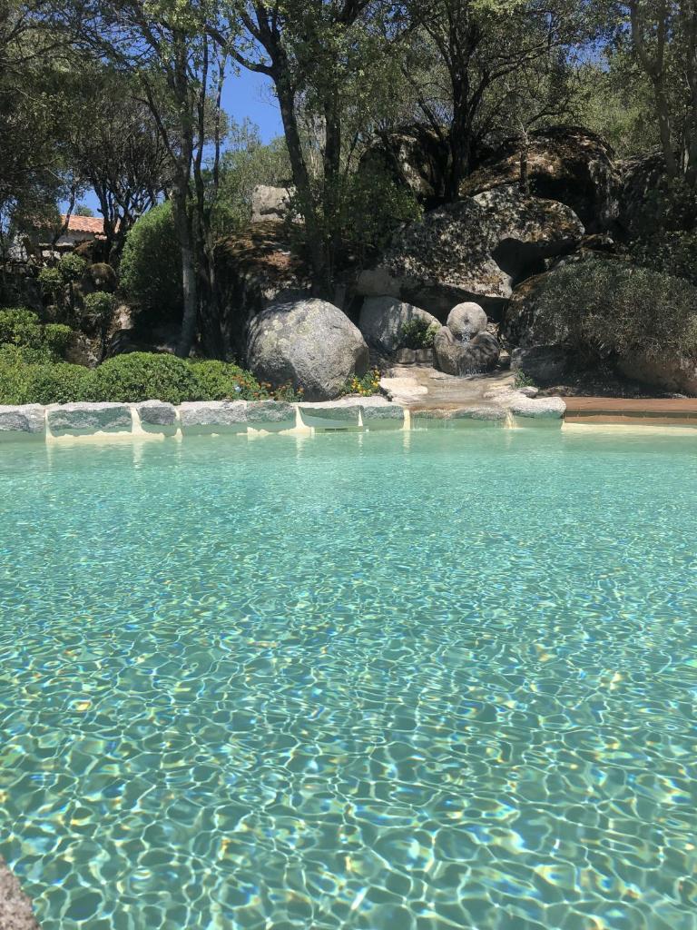 Domaine Pardini 6