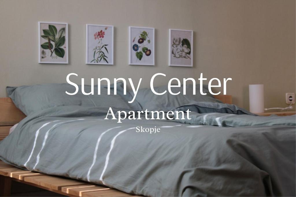 Sunny Center Apartment 1