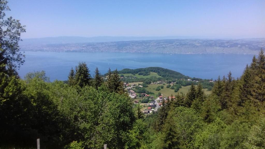 - une vue sur un lac depuis une colline arborée dans l'établissement STUDIO entre ciel et Lac, à Thollon-les-Mémises