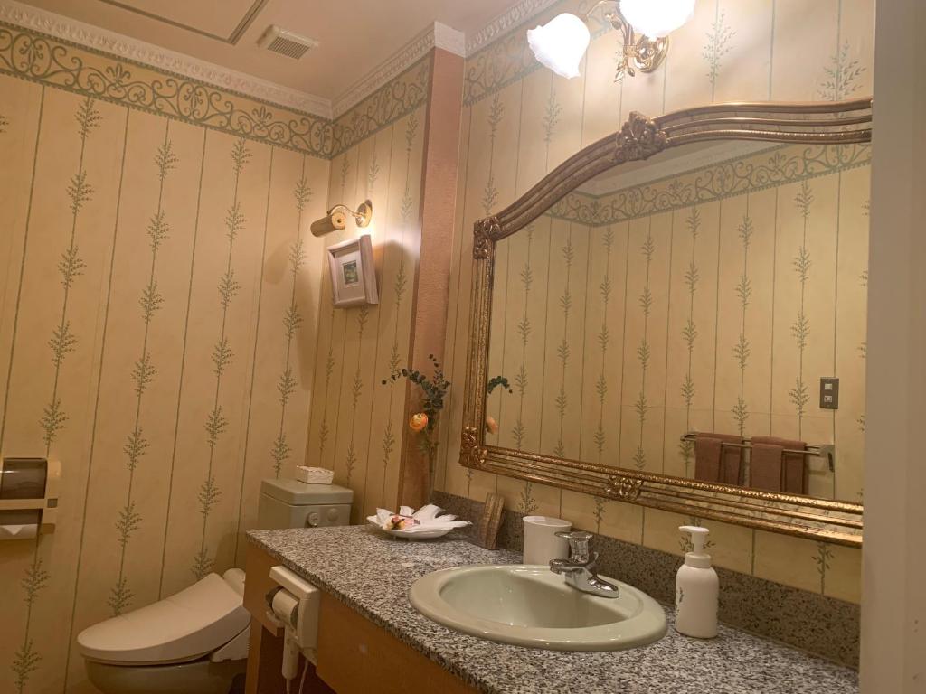 une salle de bain avec un lavabo, des toilettes et un miroir dans l'établissement ホテル　サンタモニカ(大人専用), à Shōmachi