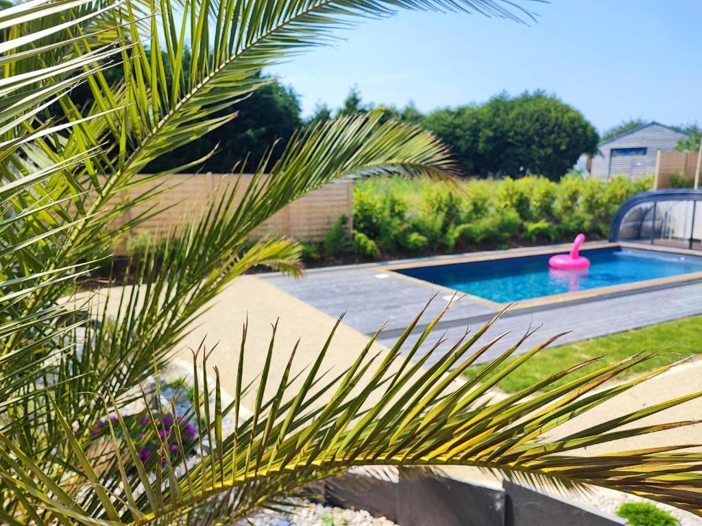 une piscine dans une cour avec un palmier dans l'établissement Les suites du littoral - Gîtes proche mer - Piscine - SPA, à Plouézec
