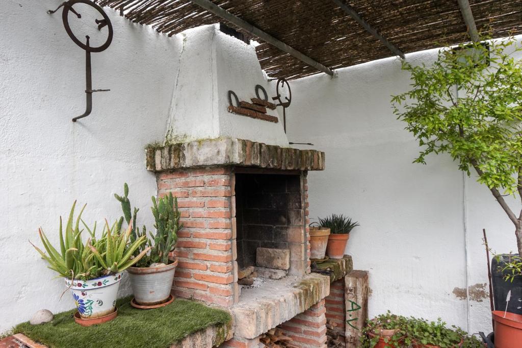 Casa Jienense 7