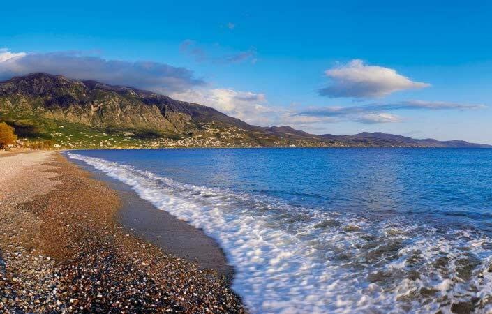 Summer Rose Garden Getaway - A step to the Beach 4