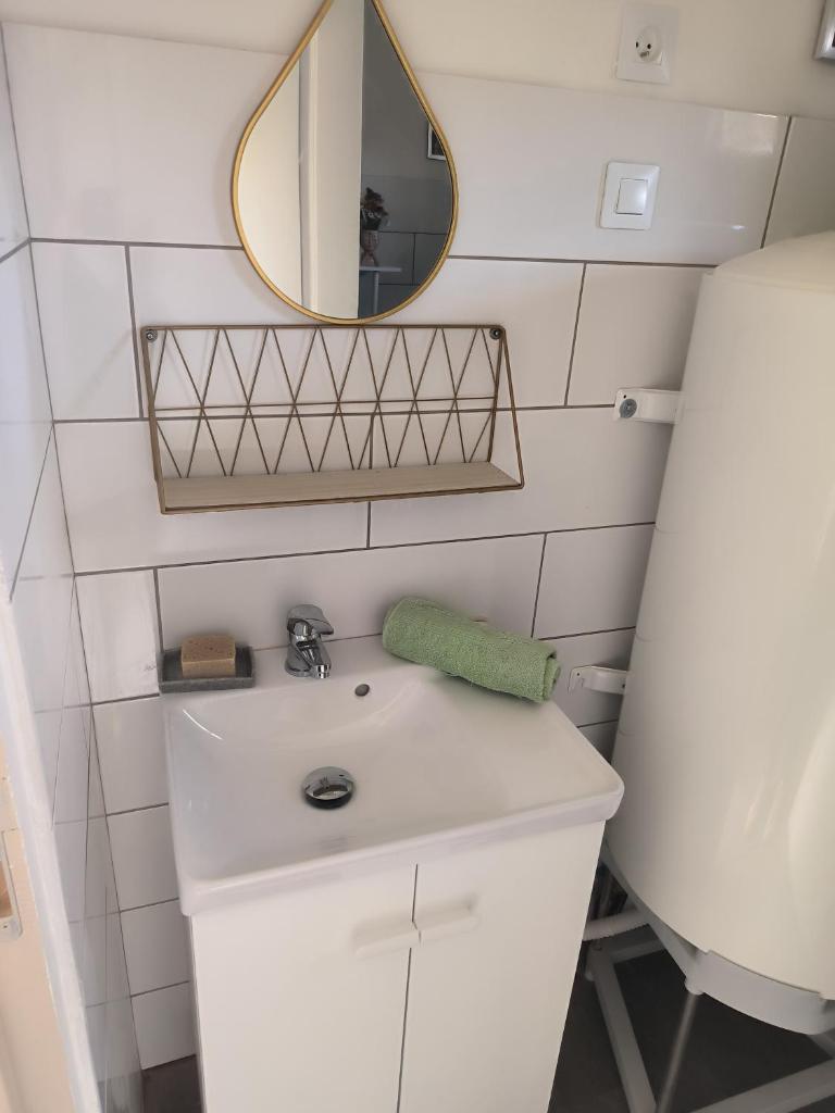 une salle de bain avec un lavabo et un miroir dans l'établissement Roulotte insolite La Marivole, à Azay-le-Ferron