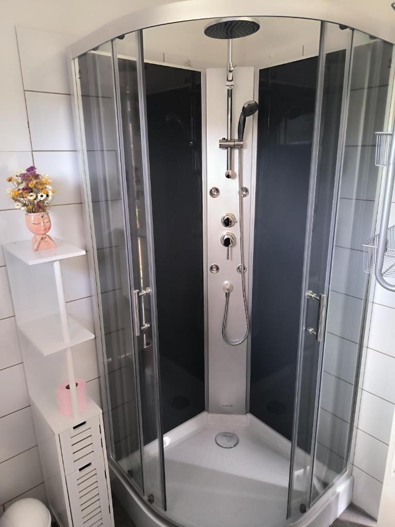 une douche avec une cabine en verre dans une salle de bain dans l'établissement Roulotte insolite La Marivole, à Azay-le-Ferron