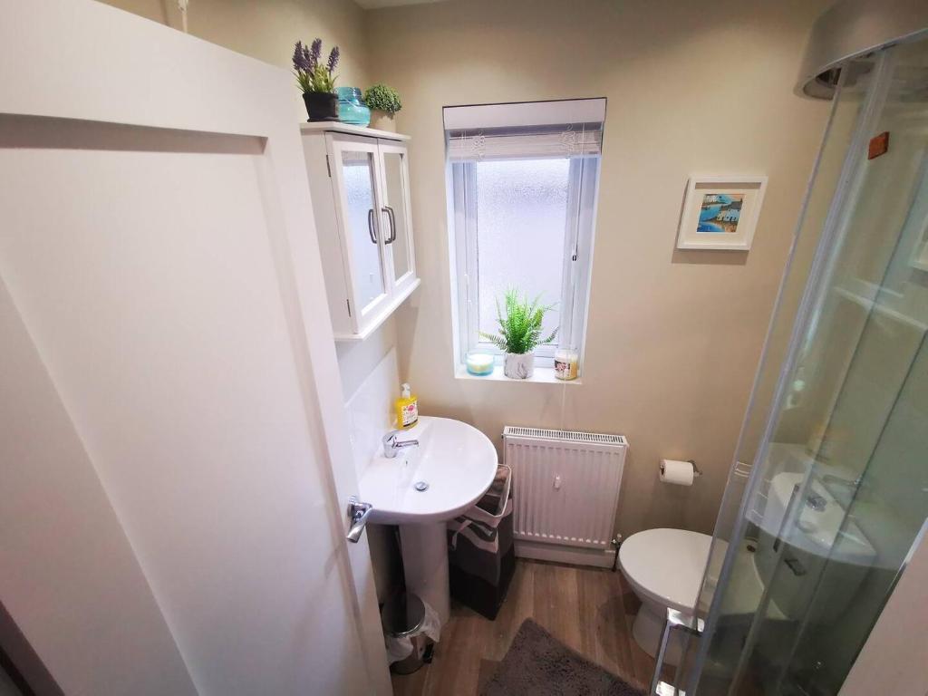 4BR Modern Botanic House 8