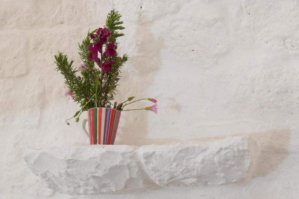 Photo de la galerie de l'établissement TRULLOVE - Enjoy the saltwater pool, à Ostuni