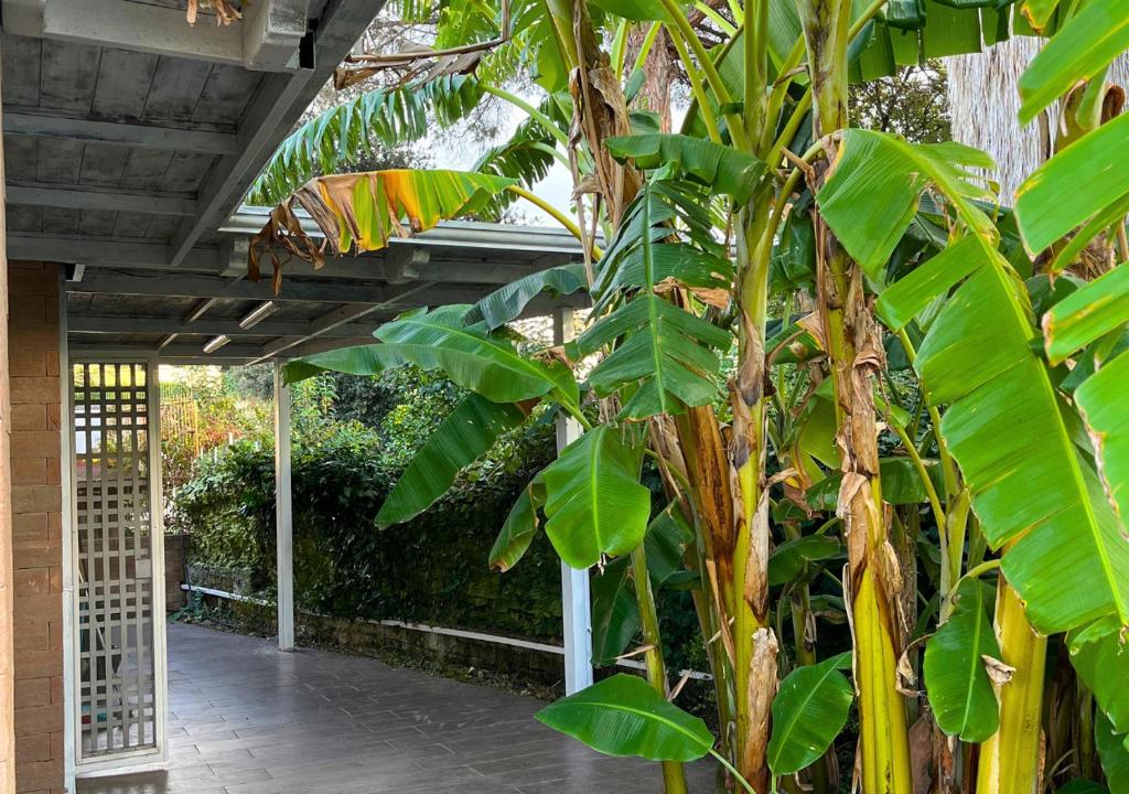 Villa Marlene Casa vacanze in parco privato 7