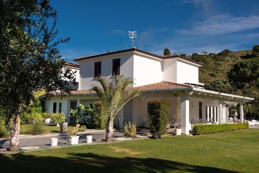une maison blanche avec un palmier dans la cour dans l'établissement Villa Solià, à Campofelice di Roccella