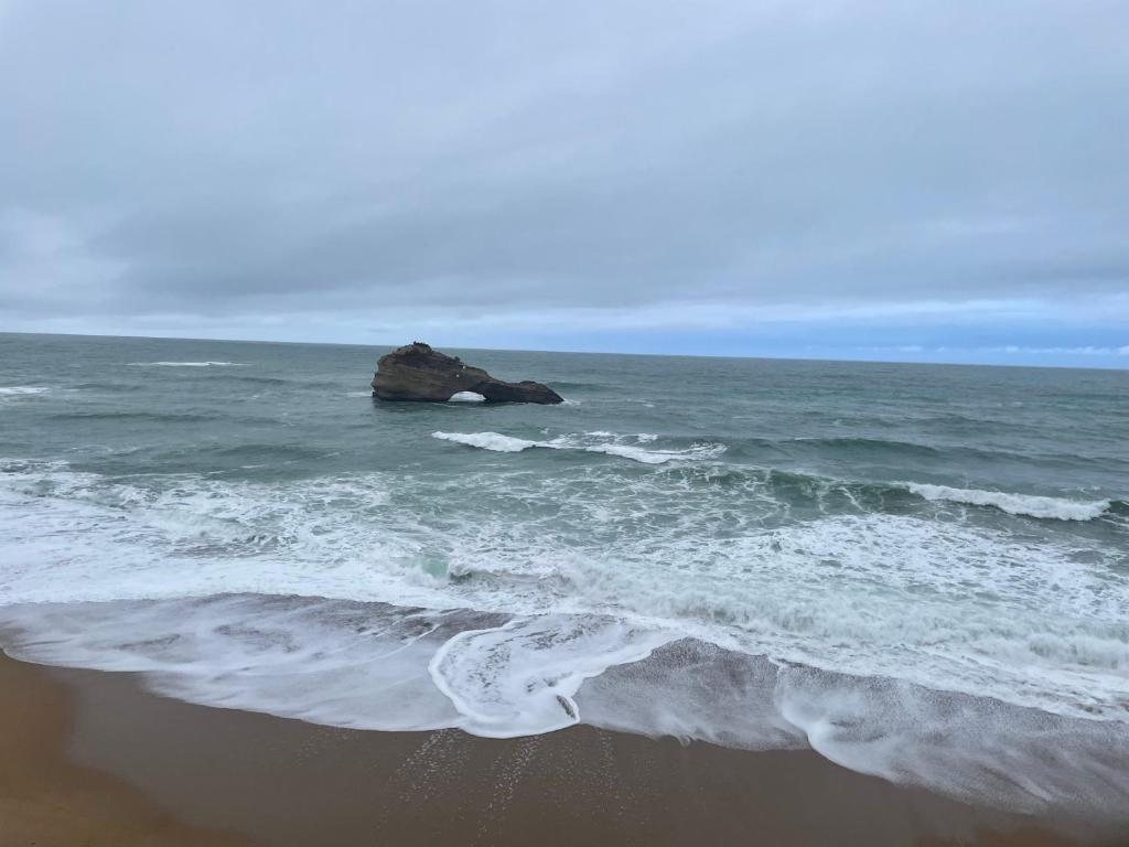 FANTASTIC OCEAN VIEW