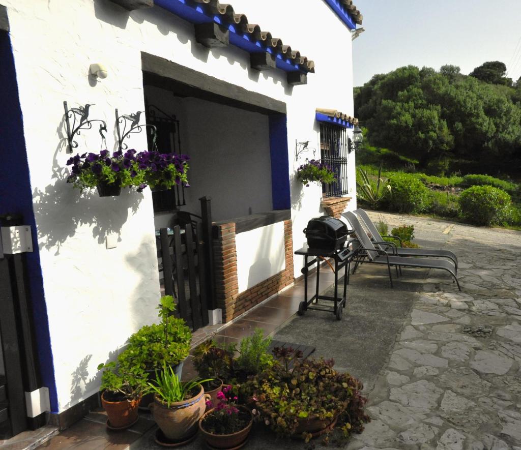 Finca La Cantarera 6