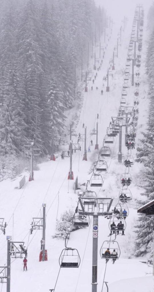 une piste de ski avec un bouquet de remontées mécaniques dans l'établissement Pretty ski nest in Gérardmer, à Gérardmer 23 autres photos