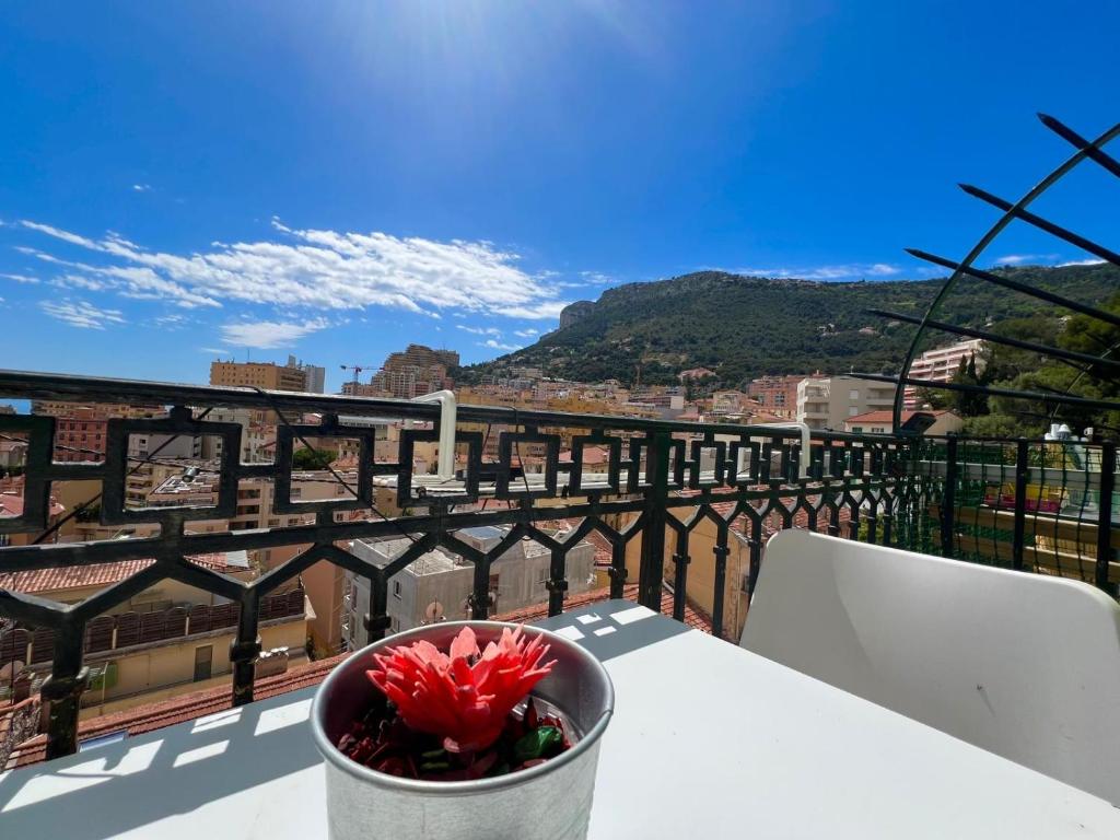 T2 splendid view near Monaco 6