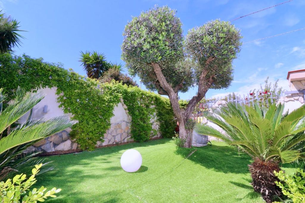 un œuf blanc dans une cour avec des arbres et des buissons dans l'établissement Villa Primavera, à Castel Volturno