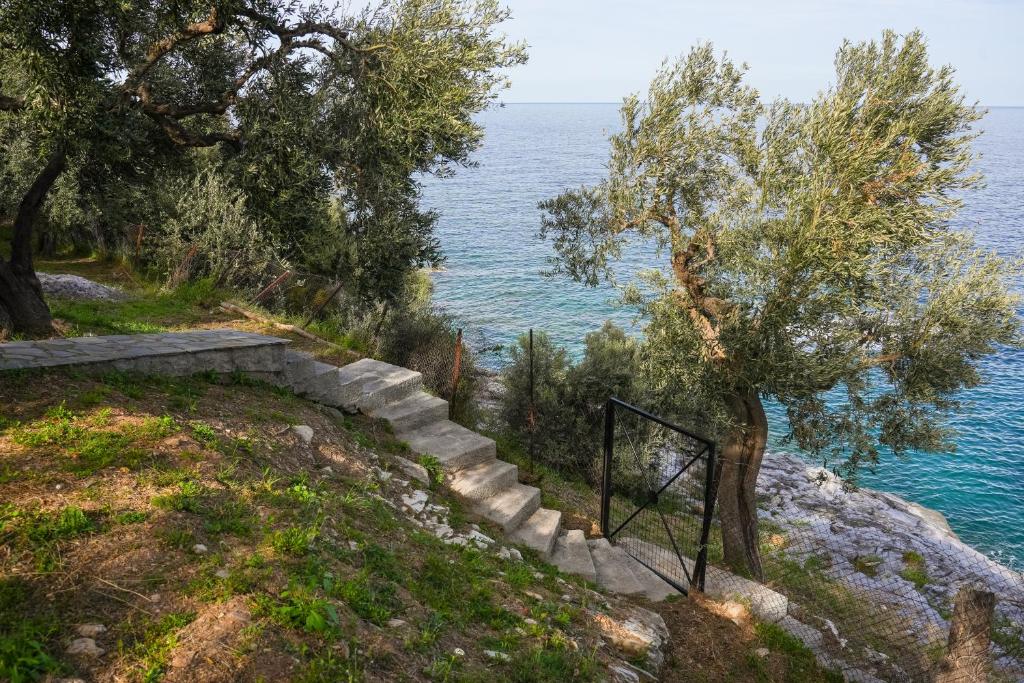Blue Horizon View 6