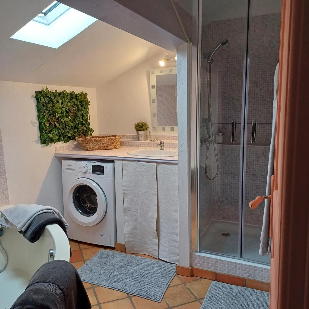 une salle de bain avec douche et machine à laver dans l'établissement Clos Baroanni - Gîte Terra, à Terraube