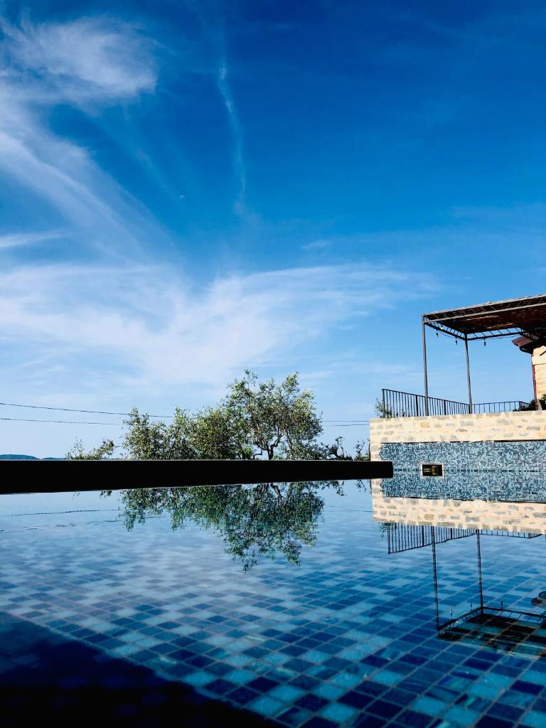 - une piscine avec un arbre dans l'eau dans l'établissement Villa La Braja, à Licciana Nardi