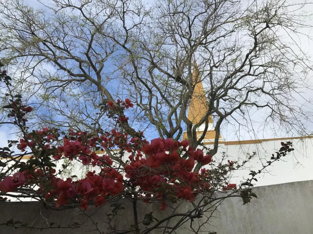 Apartamento acolhedor no centro da cidade, com pátio privado. 4
