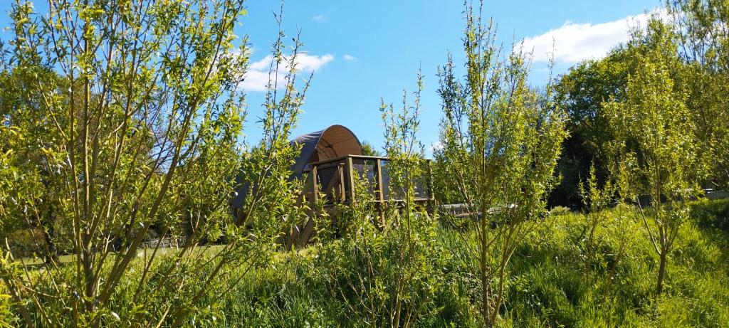 un petit bâtiment au milieu d'un champ dans l'établissement La haut, à Camoël
