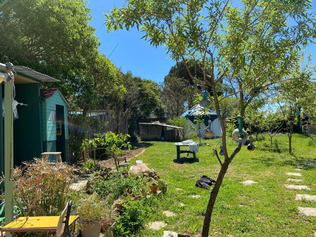 un jardin avec une serre et un arbre dans l'établissement Yourte à La Campagnette, à Montpellier