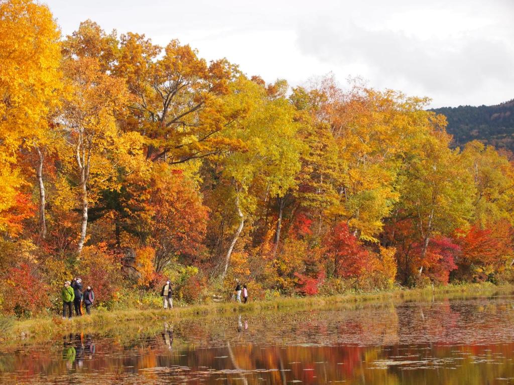 un groupe de personnes debout au bord d'un lac avec des feuilles d'automne dans l'établissement 志賀高原 白い温泉 渓谷の湯, à Yamanouchi