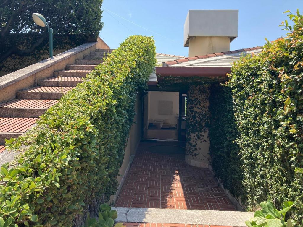 un escalier couvert de lierre menant à une maison dans l'établissement Villa Quadrifoglio, à Arenzano