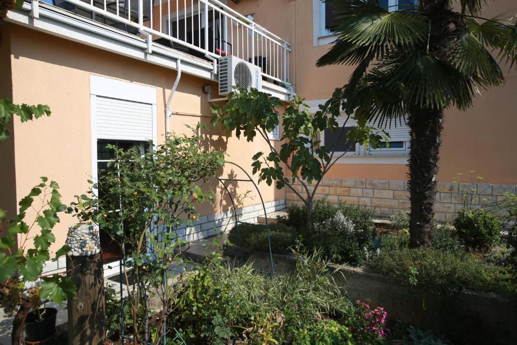 Apartment with a garden view 6