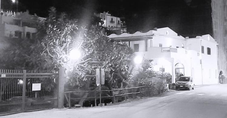 un arbre sur le côté de la rue la nuit dans l'établissement Hotel Ristorante Sturno, à San Menaio