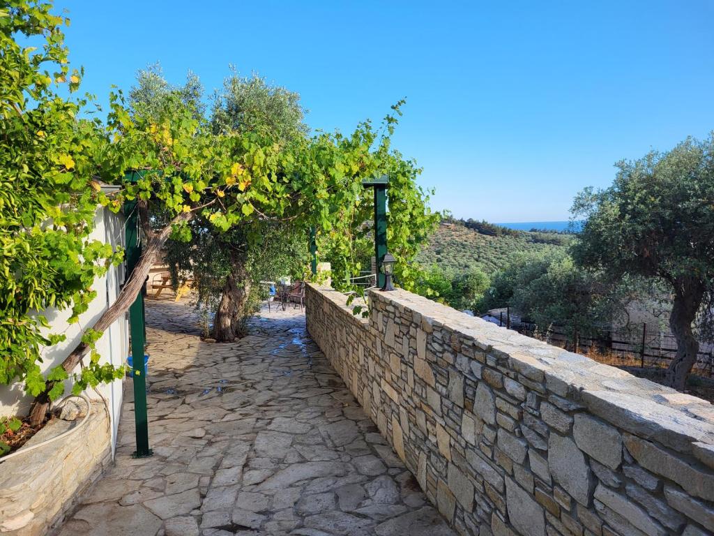 Villa Kaliva Family house 5