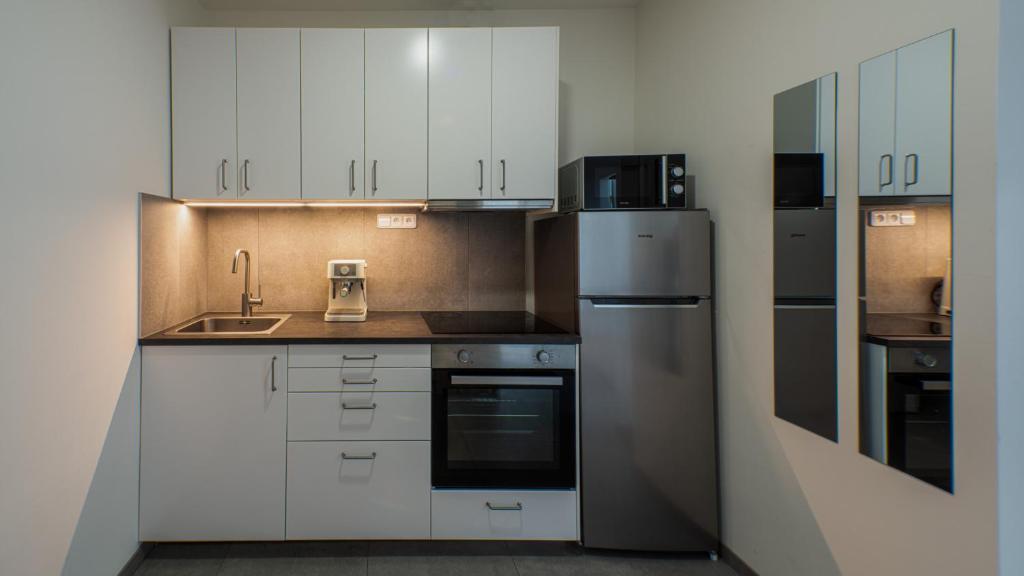 Spirit apartments Brno, with possible parking 3