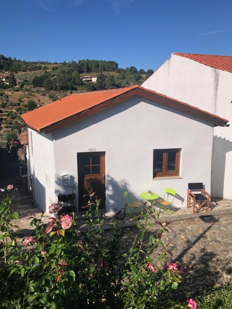 Casa do Domus 8