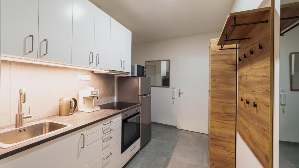 Spirit apartments Brno, with possible parking 5