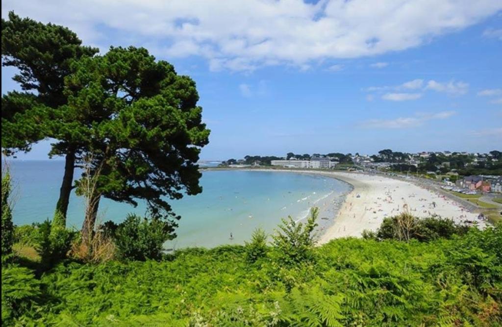 - une vue sur la plage avec un arbre et de l'eau dans l'établissement Mobil-home dans camping municipal, à Kermaria-Sulard