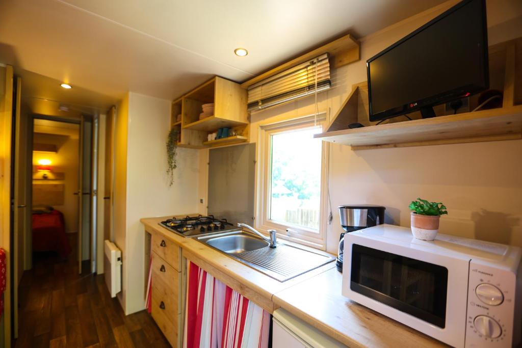 une cuisine avec un micro-ondes et un évier dans l'établissement Camping Les Cruses, à Ribes