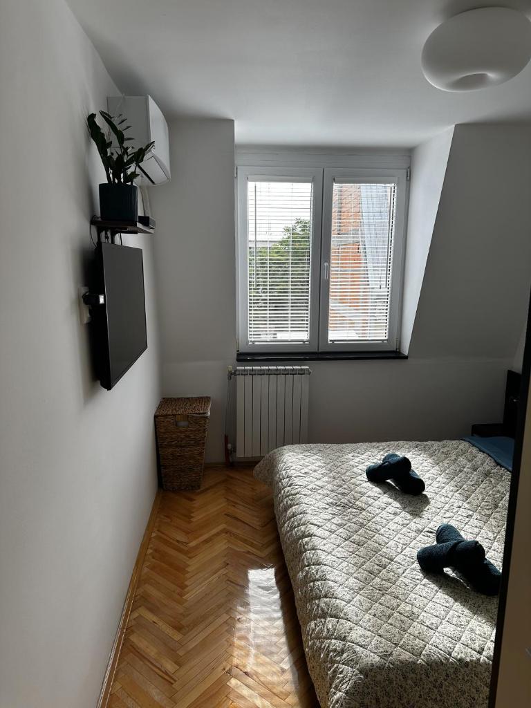 M's Downtown Homely Apartment 7