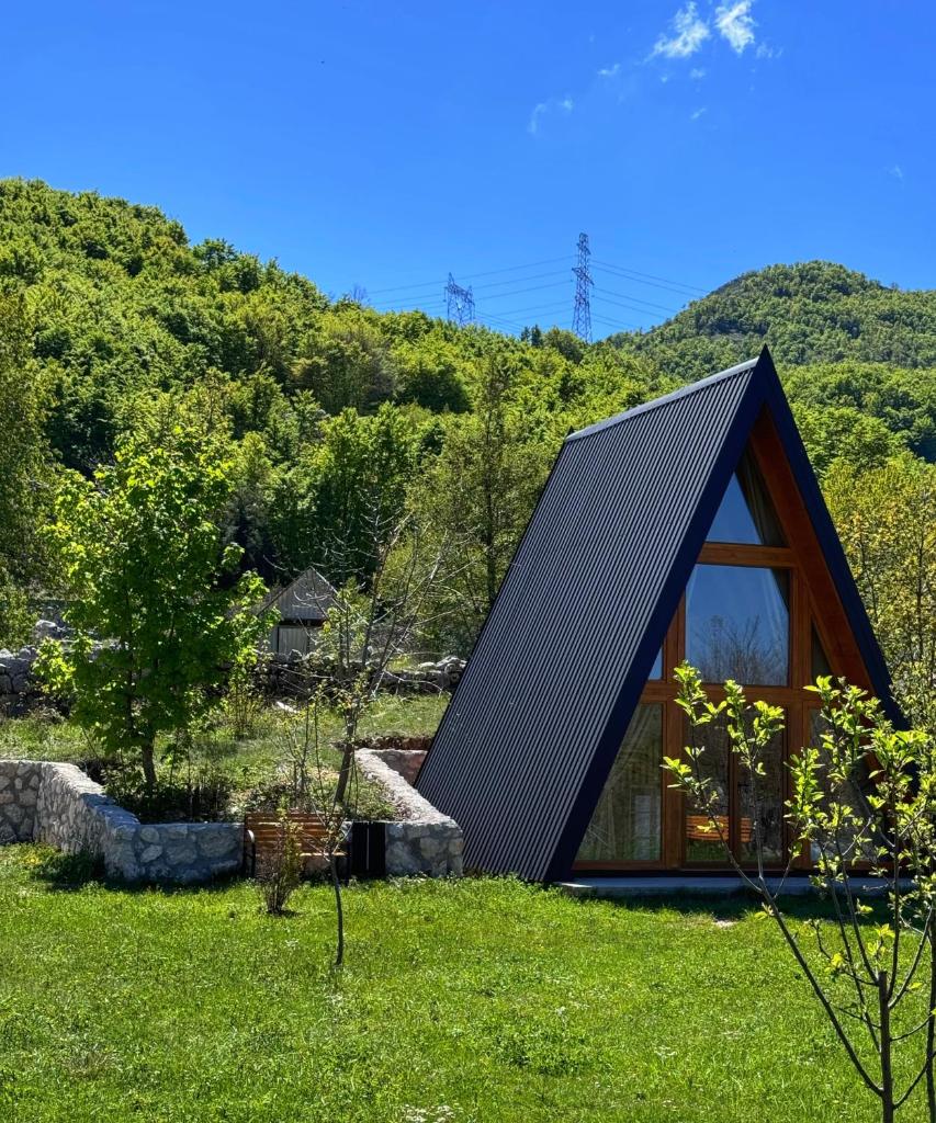 Albero Casa 3