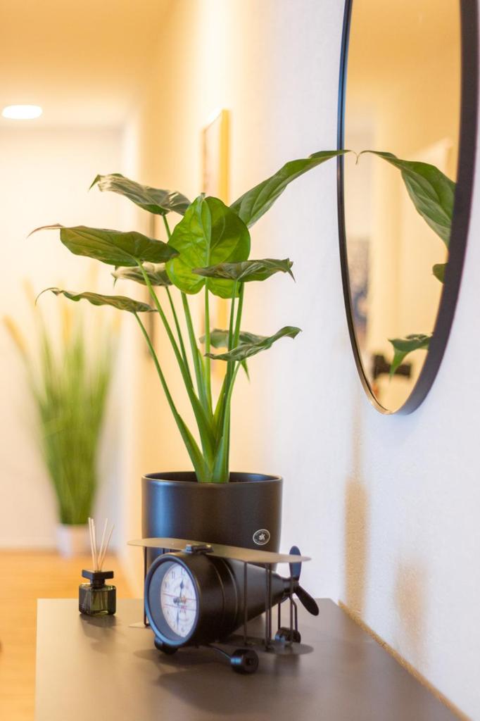 Spacious Apartment near Messe - Special EINSTEIN I Apartment, Basel, up to 6 guests 6