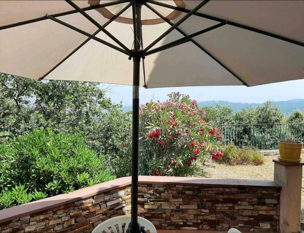 Villa la CROIX VALMER vue panoramique avec piscine 7