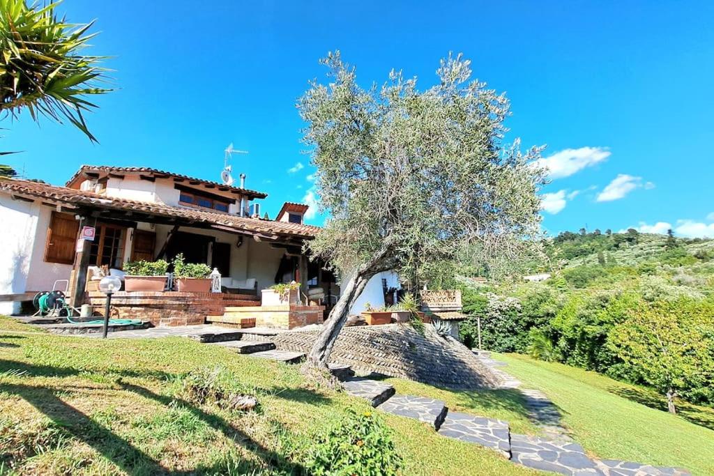 une maison avec un arbre devant dans l'établissement Veranda, a dream villa, with big private pool close to the beach, à Camaiore 57 autres photos