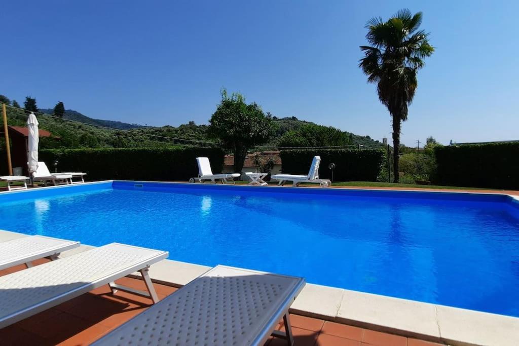 une grande piscine bleue avec des chaises et un palmier dans l'établissement Veranda, a dream villa, with big private pool close to the beach, à Camaiore