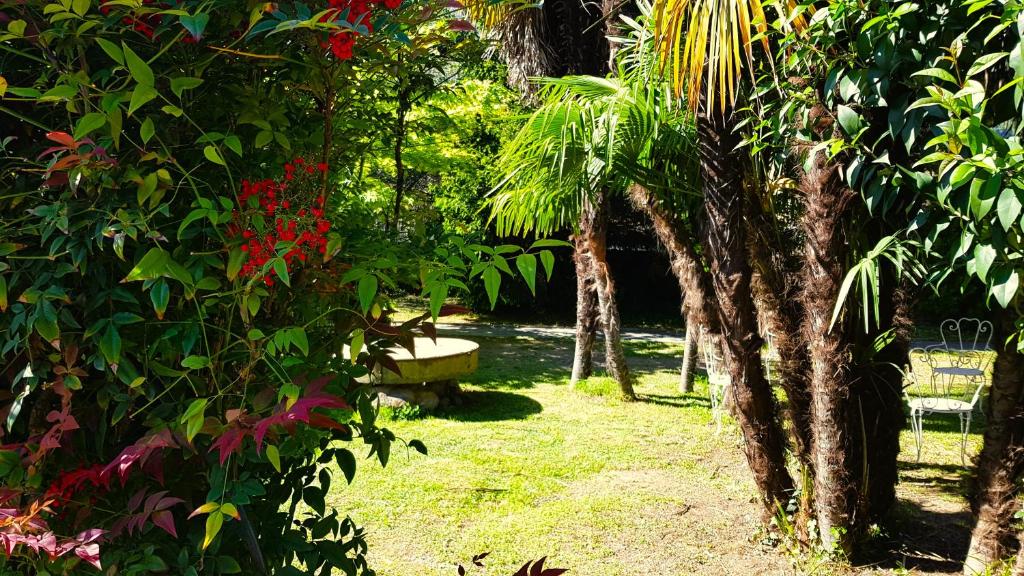 un parc avec un banc et quelques arbres et fleurs dans l'établissement Casa Emilia, à Dongo