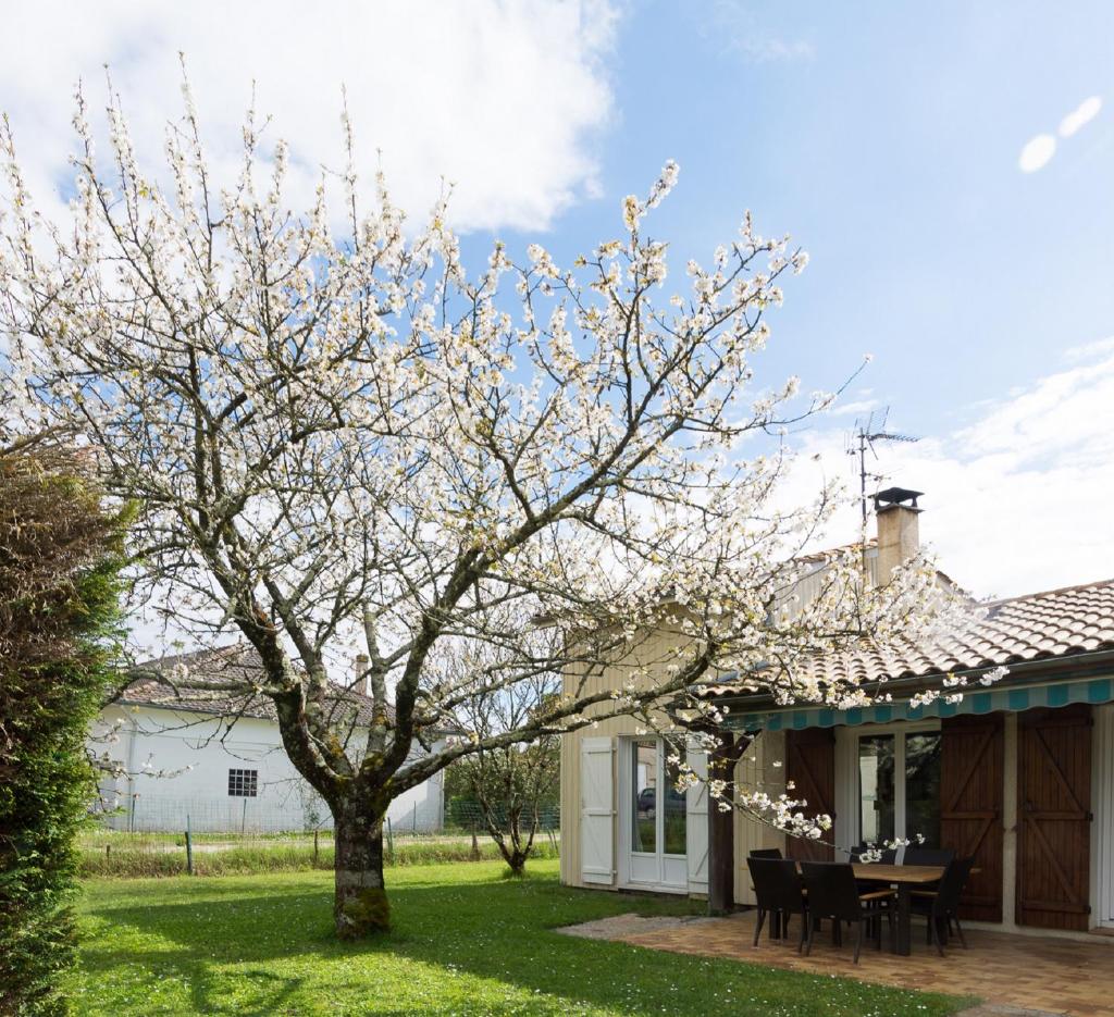 3 bedrooms, very quiet, fully equiped, between Bordeaux and Saint-Emilion 5